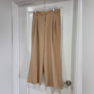 Ann Taylor Pleated Wide-Leg Pants